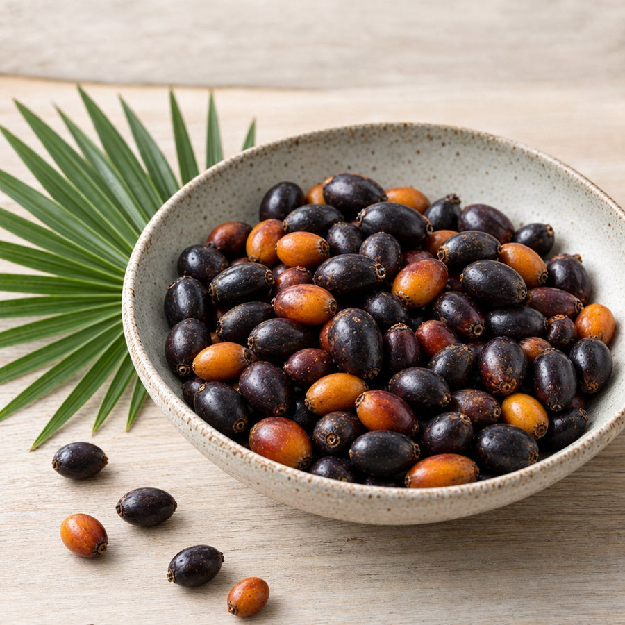 Saw Palmetto